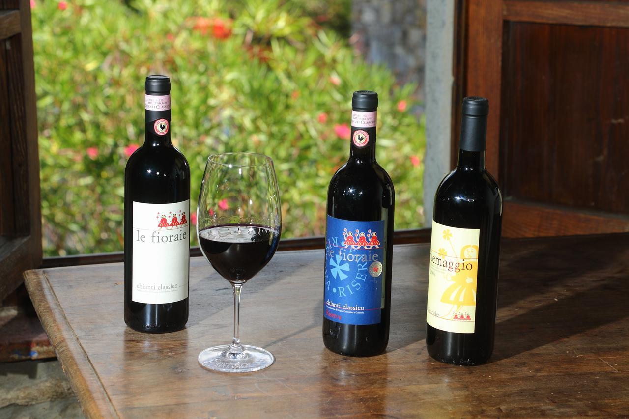 Agriturismo Piemaggino Castellina in Chianti Ngoại thất bức ảnh
