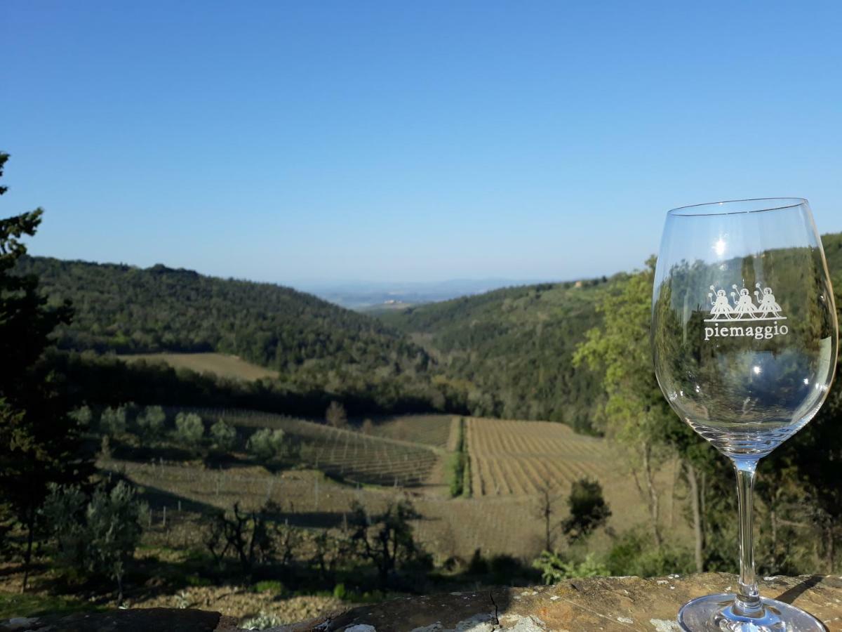 Agriturismo Piemaggino Castellina in Chianti Ngoại thất bức ảnh